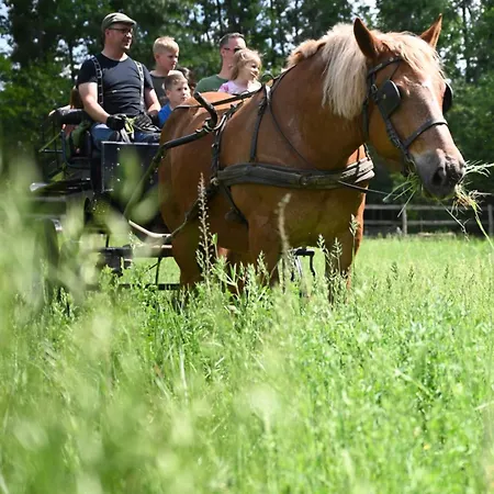 Campsite Gidran Major *