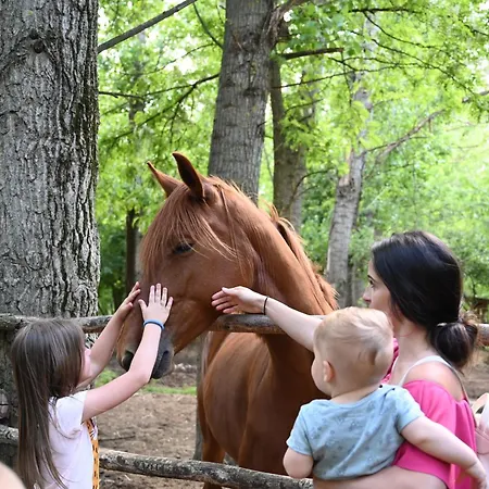 Кемпинг Gidran Major Ujlengyel
