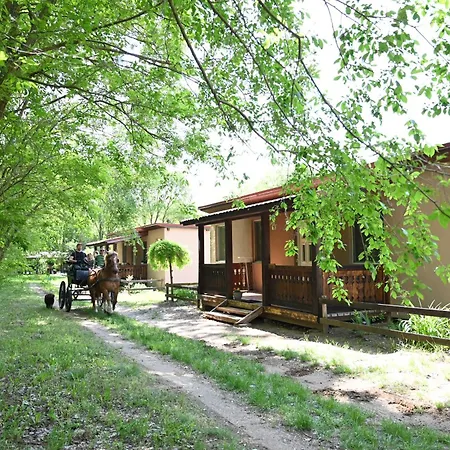 Кемпинг Gidran Major *