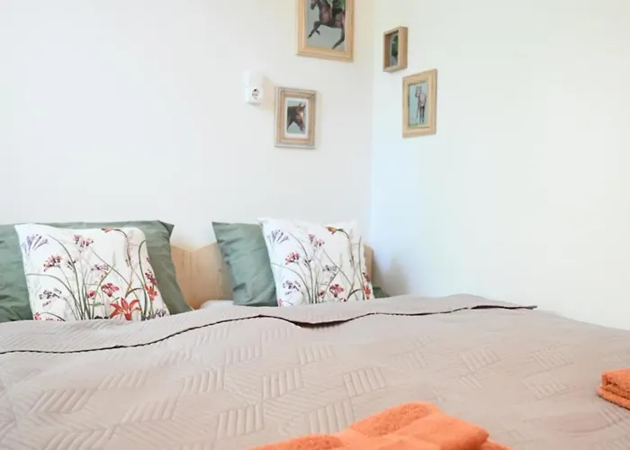 Gidran Major Кемпинг *