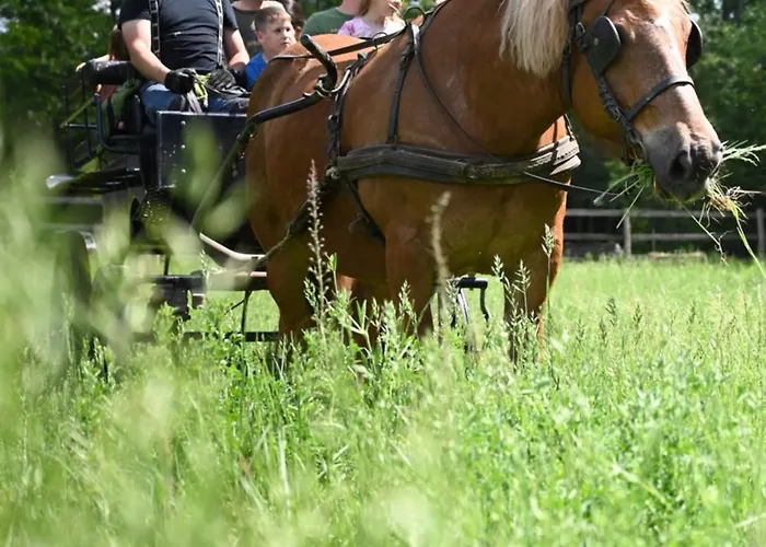 Кемпинг Gidran Major *