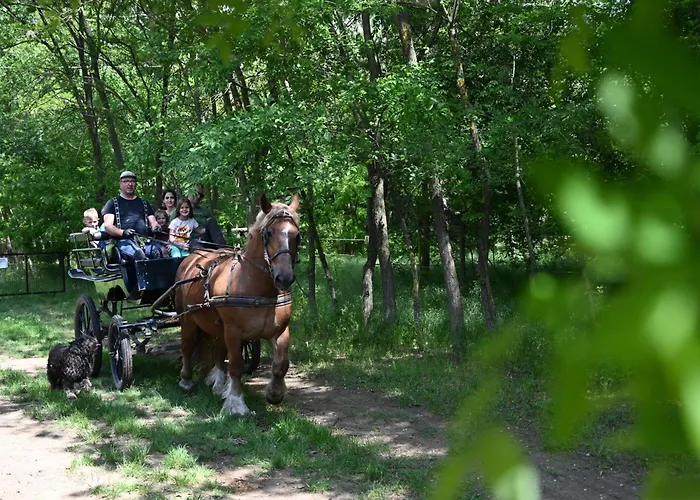 Gidran Major Ujlengyel