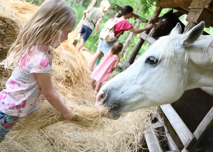 Кемпинг Gidran Major *