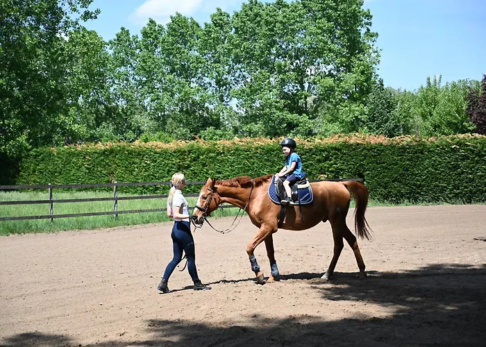 Кемпинг Gidran Major Ujlengyel