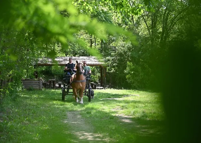 Gidran Major Ujlengyel