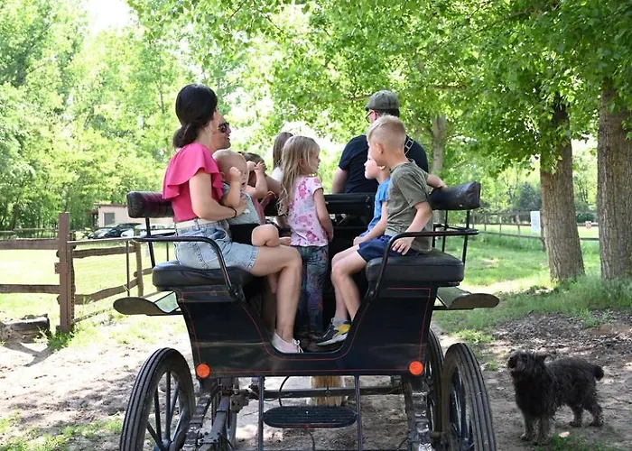 Кемпинг Gidran Major