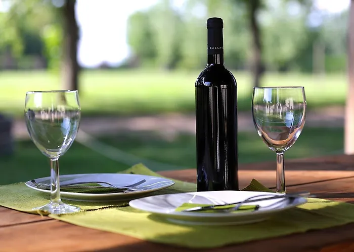 Gidran Major Кемпинг